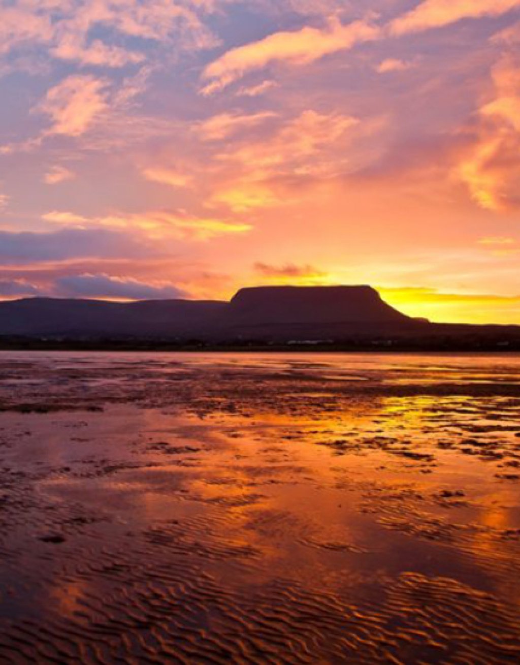 Wild Atlantic Oysters