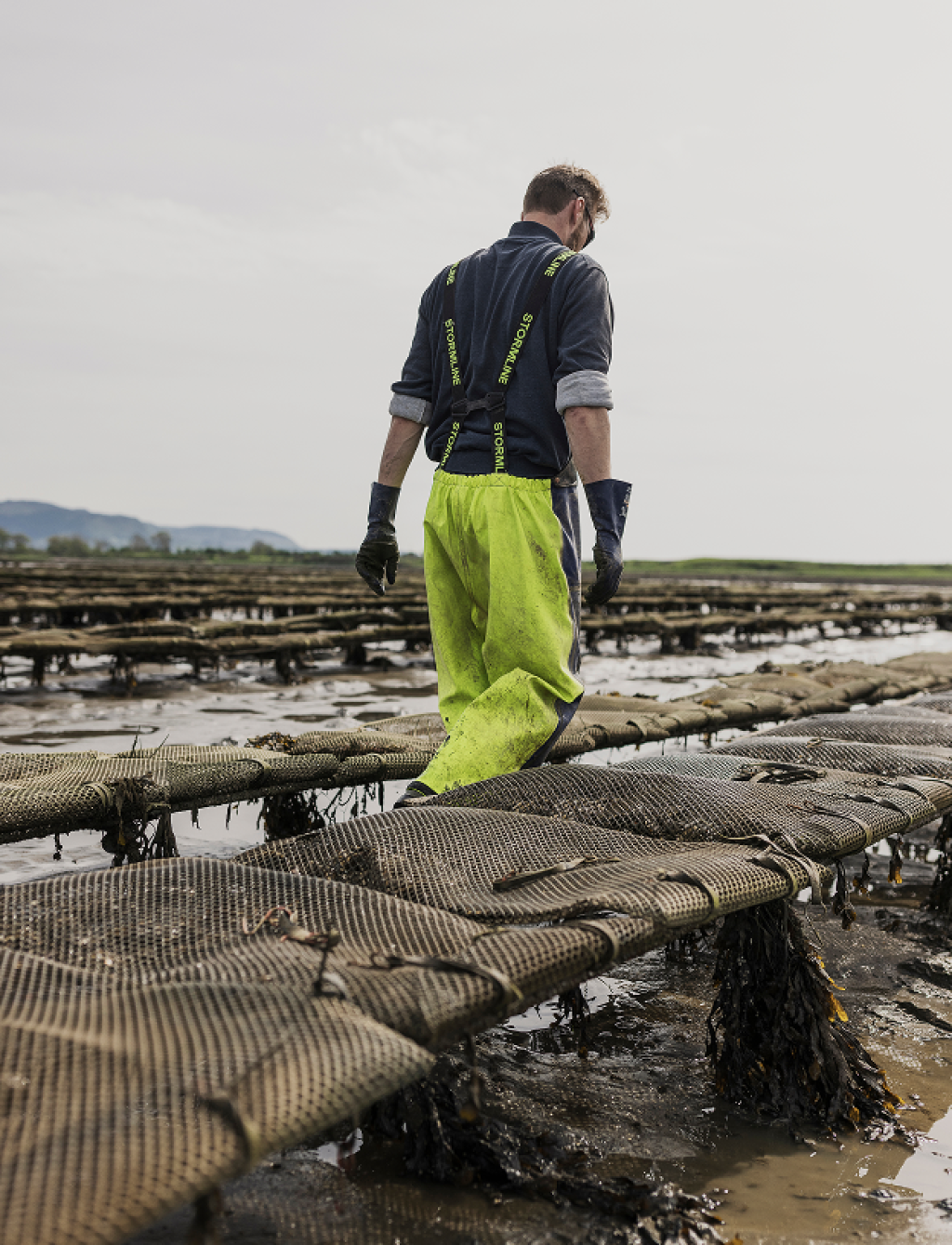 Irish Oysters shaped by both Nature and the hands that Nurture them